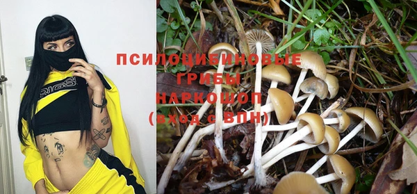 прущий лед Алексин