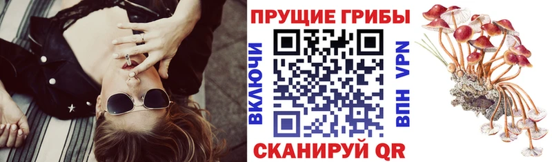 Псилоцибиновые грибы прущие грибы  MEGA tor  нарко площадка телеграм  купить   Балашиха 